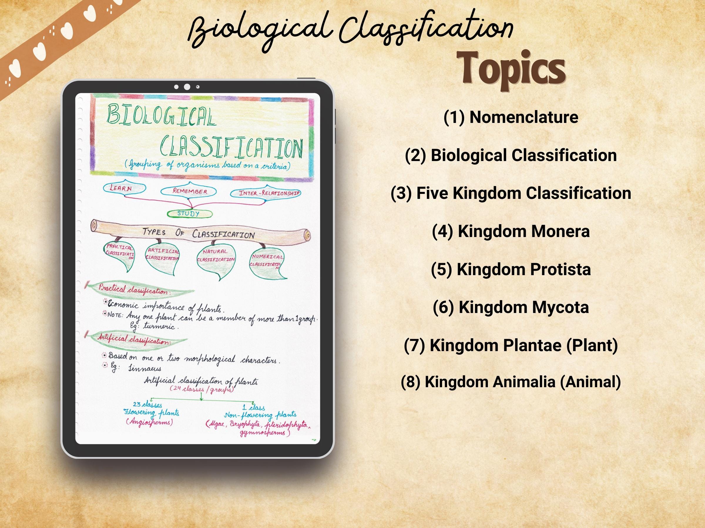 Biological Classification (five Kingdom) | Biology | Grade 11 | Handwritten  Color Study Notes | Study Guide | Digital Download PDF - Etsy Norway