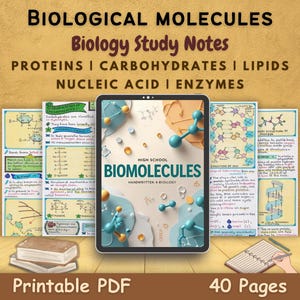 Biologische moleculen | Nucleïnezuren (DNA en RNA), eiwitten, koolhydraten en lipiden | Enzymen voor AQA-A Level Biology Notes High School