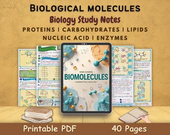Biological Molecules | Nucleic Acids (DNA and RNA), Proteins, Carbohydrates and Lipids | Enzymes for AQA-A Level Biology Notes High School