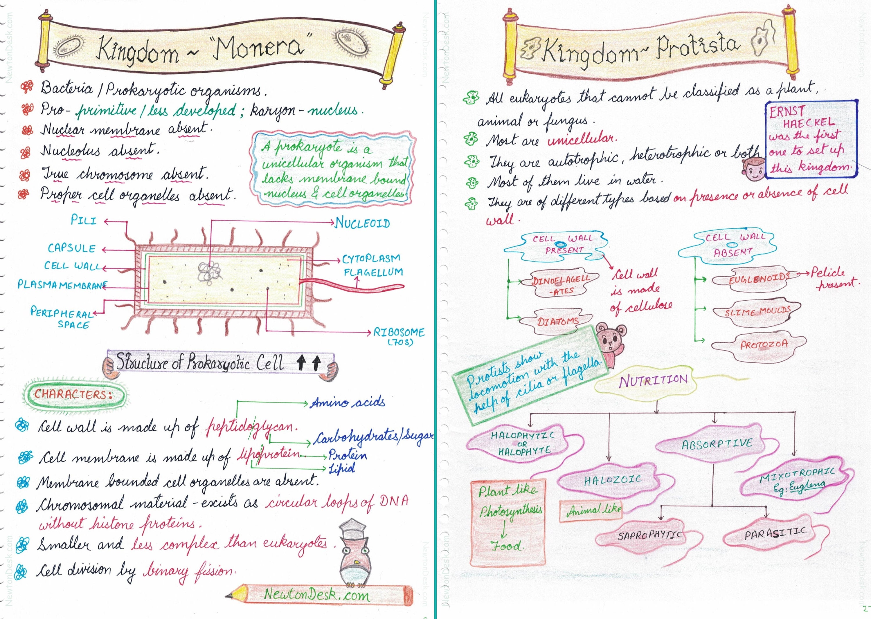 Biological Classification Notes Biological Classification (five Kingdom) | Biology | Grade 11 ...