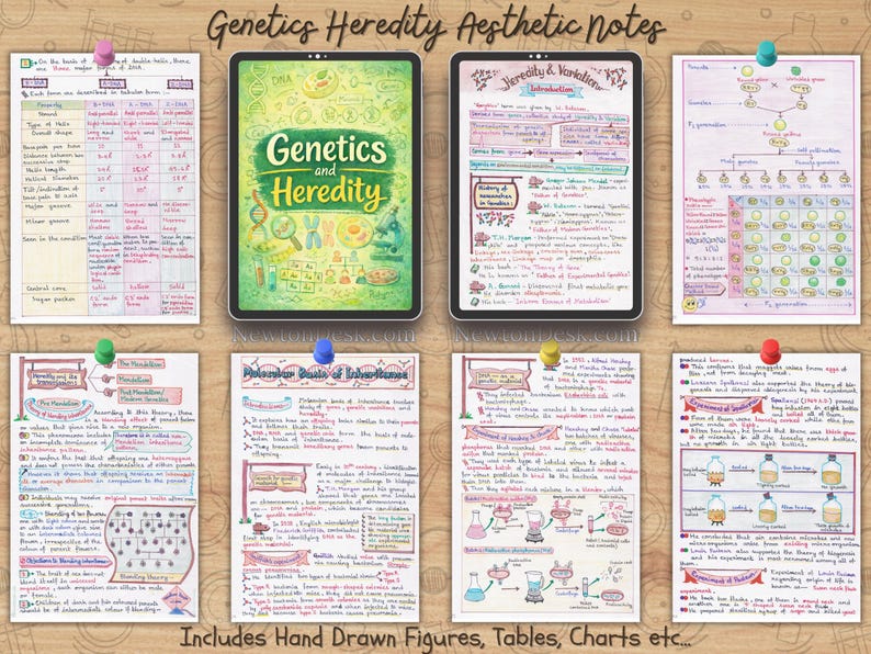 Genetics and Heredity Biology Notes PDF | Grade 12, A Level, IB Biology ...