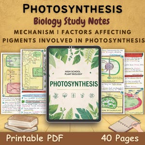 Photosynthesis Aesthetic Study Notes PDF | Handwritten Biology Notes | Grade 11 Printable | High School Plant Biology Revision Sheets