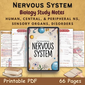 May include: A digital biology study guide titled "Nervous System" with the text "Biology Study Notes". The image shows a tablet displaying the title, surrounded by printed notes and a stack of books. The guide covers human, central, and peripheral nervous systems.