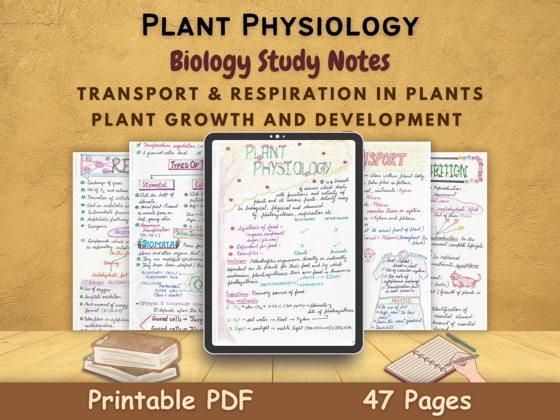 Plant Physiology | Transport in Plants | Respiration in Plants | Plant ...