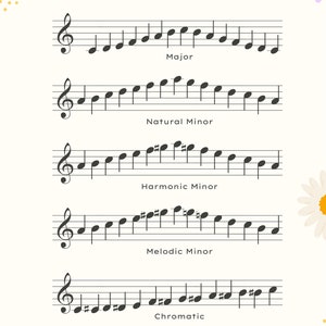 Music Theory Printable Posters - Floral - Etsy