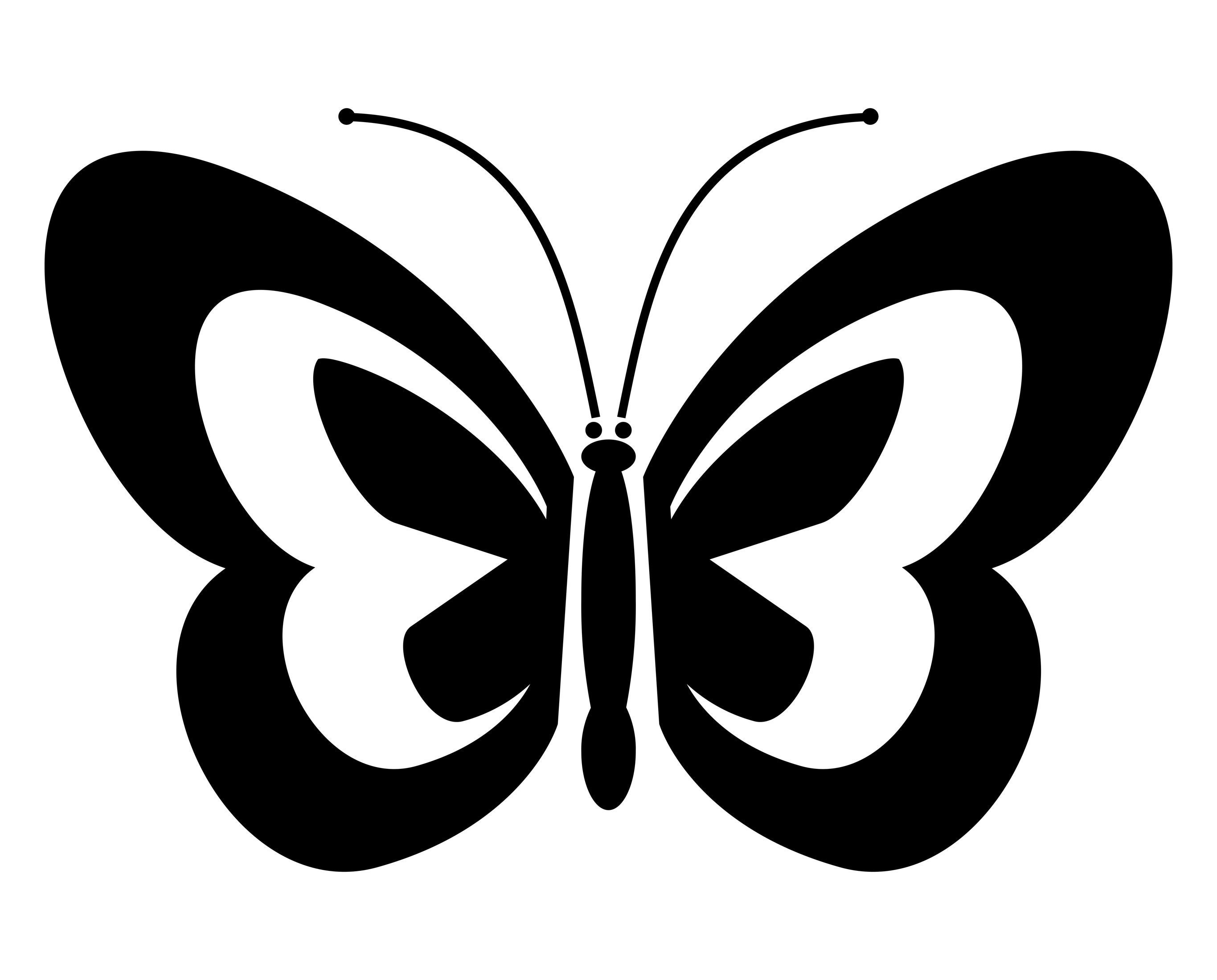 Butterfly Vinyl Decal Butterfly Decal White Vinyl Decal Etsy