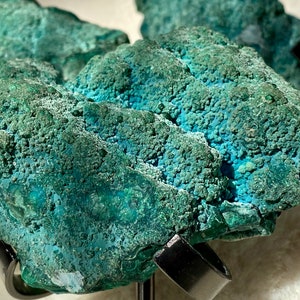 Chrysocolla-bubbelspecimen / BotryoidalChrysocolla hoogste kwaliteit!