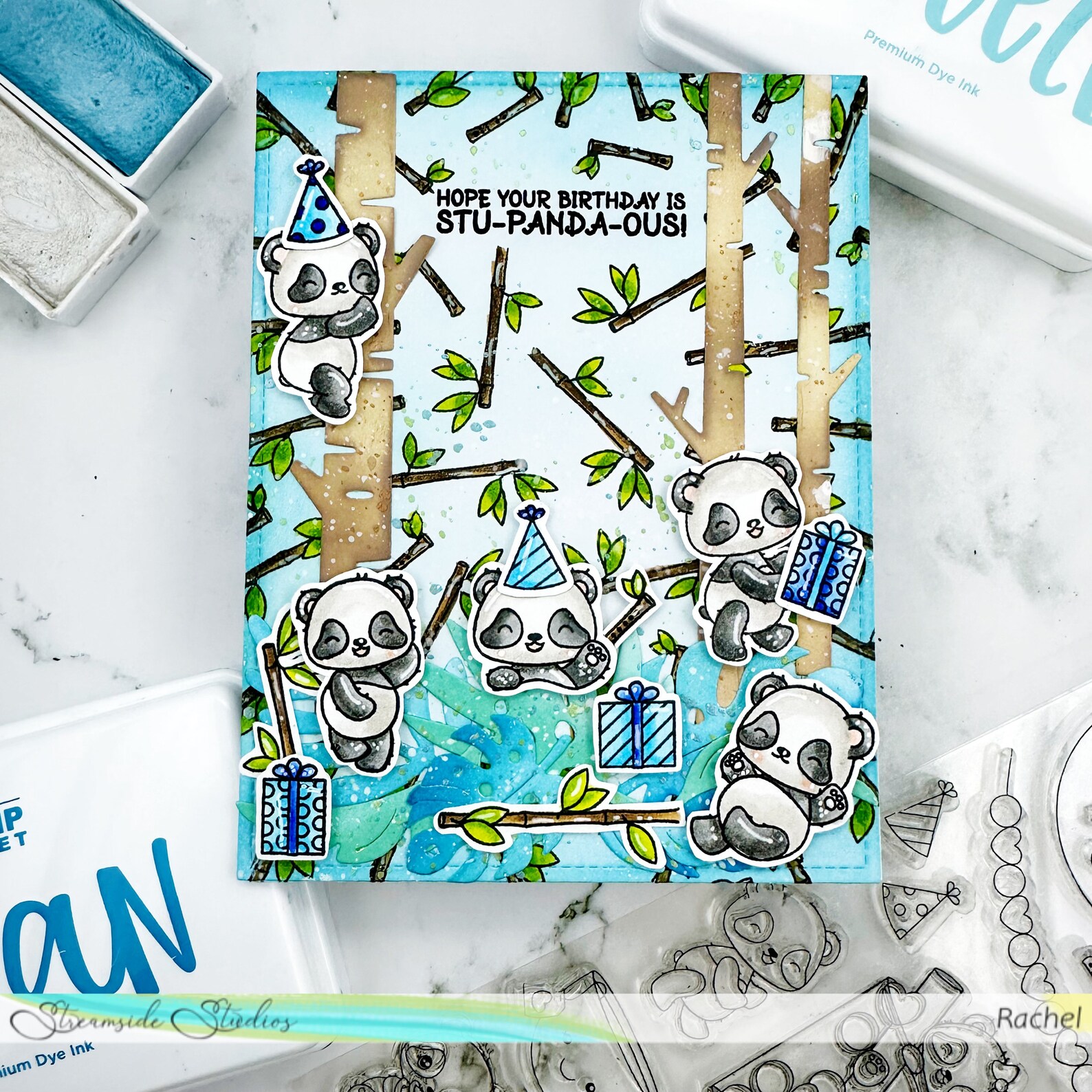 Stu-Panda-ous Cartes D'anniversaire Amusantes Pour Fils De La Part De