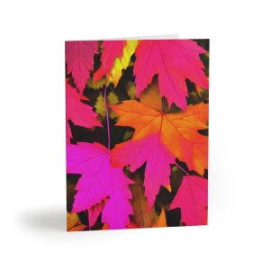 Cartes de vœux d’automne, Cartes de notes d’automne, Cartes de notes d’automne, Papeterie d’automne, Jeux de cartes de 8, 16, 24, Cartes d’automne