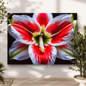 Amaryllis Floral Canvas Art Print, Vibrant Red Flower Wall Decor, Home Decoration, Gift for Nature Lovers, Modern Floral Design Accent