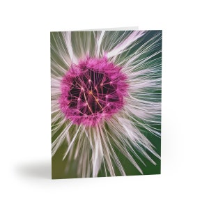 Greeting cards (8, 16, and 24 pcs), Dandelion Stationary, Dandelion Notecards, Dandelion Cards, Purple Notecards, Purple Stationary