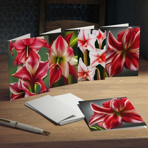 Cartes de correspondance Amaryllis (paquet de 5) | Cartes Amaryllis | Cartes de voeux Amaryllis | Cartes de correspondance vierges florales | Cartes de correspondance florales | Cartes de correspondance rouges