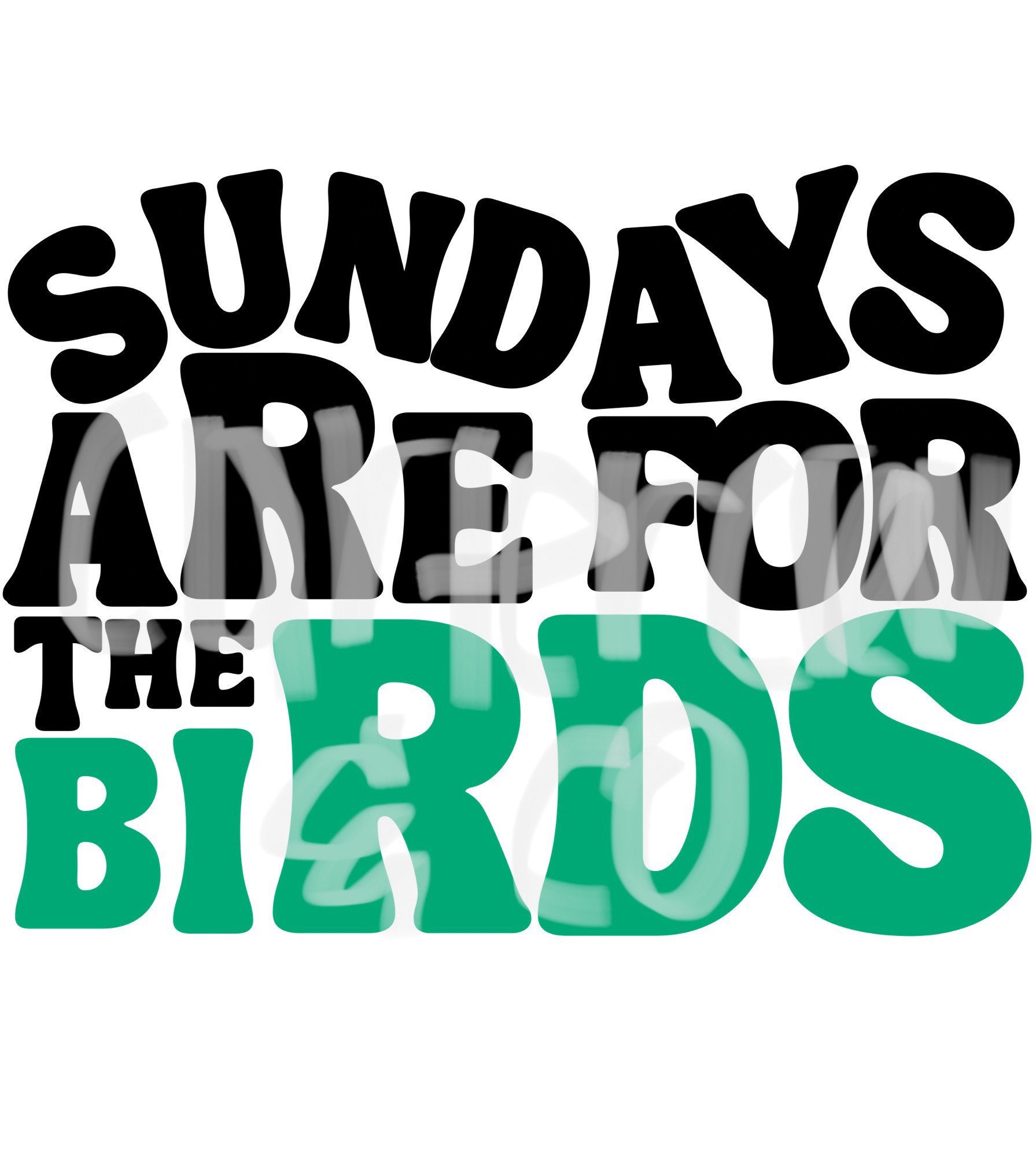 Sundays Are for The Birds Sweatshirt Go Birds Eagles Shirt 2 Sides - Happy  Place for Music Lovers