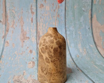 Burr Acacia Vase