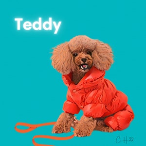 Pet portrait contemporary style