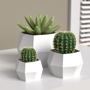 Op de afbeelding: Drie witte geometrische potten met verschillende vetplanten. De potten zijn gemaakt van wit keramisch materiaal en hebben een geometrisch ontwerp. De vetplanten zijn groen en hebben verschillende vormen en maten.