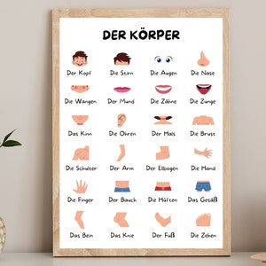 Körperkarten für Kinder Körper Poster Digital Download Set, Bildkarten ...