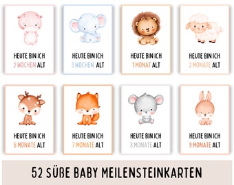 52 Baby Meilensteinkarten für Mädchen und Jungen, Geschenk zur Geburt, Baby erstes Jahr, Babyparty Karten, Baby Geschenk, Baby Erinnerungen
