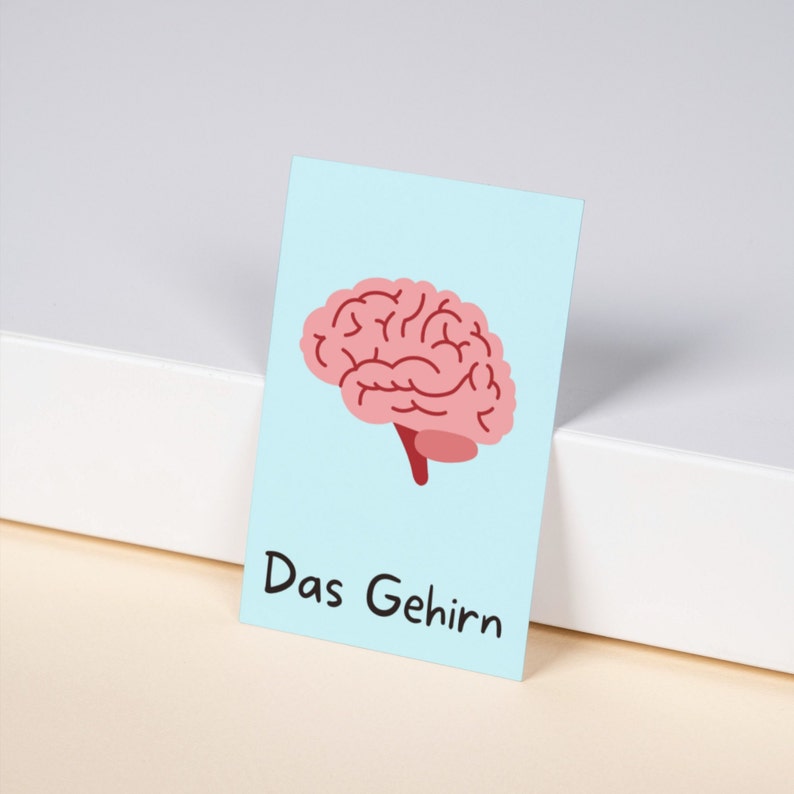 May include: A light blue card with a pink brain illustration and the text "Das Gehirn" in black.
