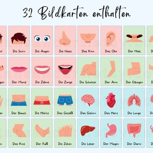 May include: A set of 32 illustrated flashcards in German, featuring various parts of the human body. Each card shows a colourful illustration of a body part, such as the head, eyes, nose, mouth, teeth, tongue, shoulders, arms, elbows, hands, fingers, stomach, hips, buttocks, brain, heart, lungs, kidneys, legs, knees, feet, toes, liver, stomach, intestines, and bladder. The German name for each body part is written below the illustration.