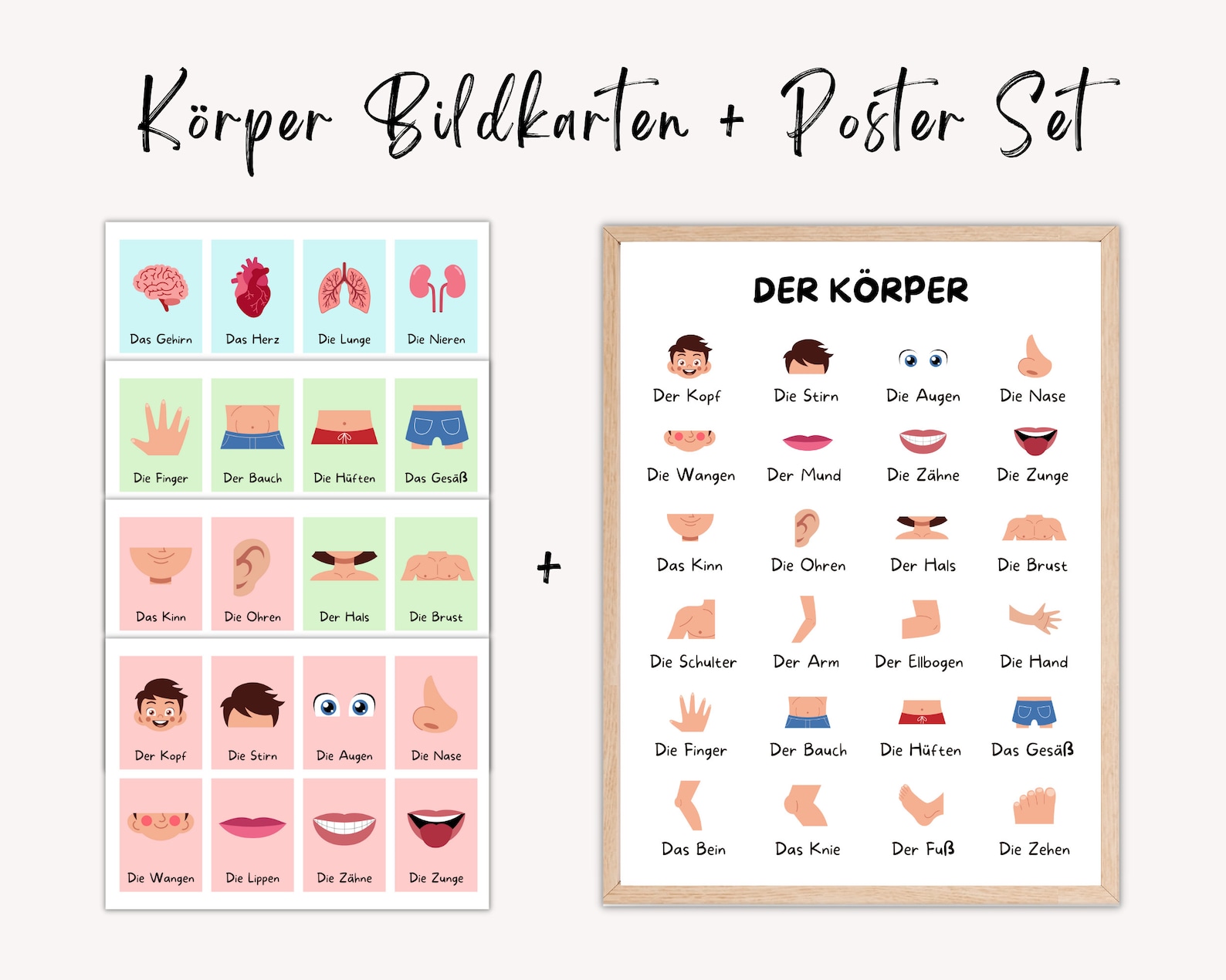 Körperkarten für Kinder Körper Poster Digital Download Set, Bildkarten ...