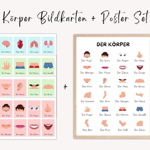 Körperkarten für Kinder Körper Poster Digital Download Set, Bildkarten Körperteile, Menschlicher Körper Organe, Körper kennenlernen Kita