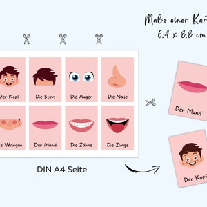 May include: A printable set of flashcards for learning German vocabulary. The flashcards feature illustrations of a face and its parts, with the corresponding German word for each part. The flashcards are designed to be cut out and used for educational purposes. The text on the flashcards includes: "Der Kopf", "Die Stirn", "Die Augen", "Die Nase", "Der Mund", "Die Wangen", "Die Z&auml;hne", "Die Zunge", "Ma&szlig;e einer Karte: 6.4 x 8.8 cm", "DIN A4 Seite".