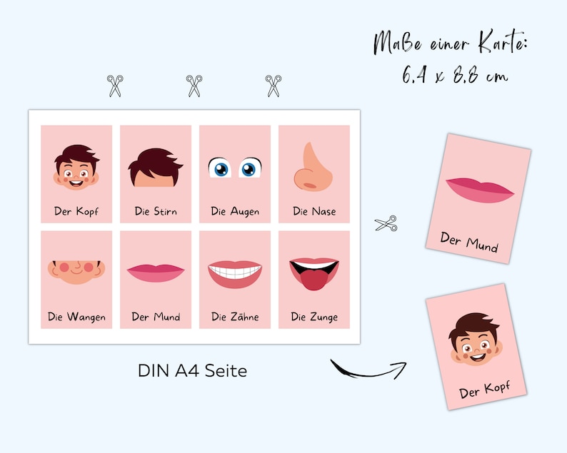 May include: A printable set of flashcards for learning German vocabulary. The flashcards feature illustrations of a face and its parts, with the corresponding German word for each part. The flashcards are designed to be cut out and used for educational purposes. The text on the flashcards includes: "Der Kopf", "Die Stirn", "Die Augen", "Die Nase", "Der Mund", "Die Wangen", "Die Z&auml;hne", "Die Zunge", "Ma&szlig;e einer Karte: 6.4 x 8.8 cm", "DIN A4 Seite".