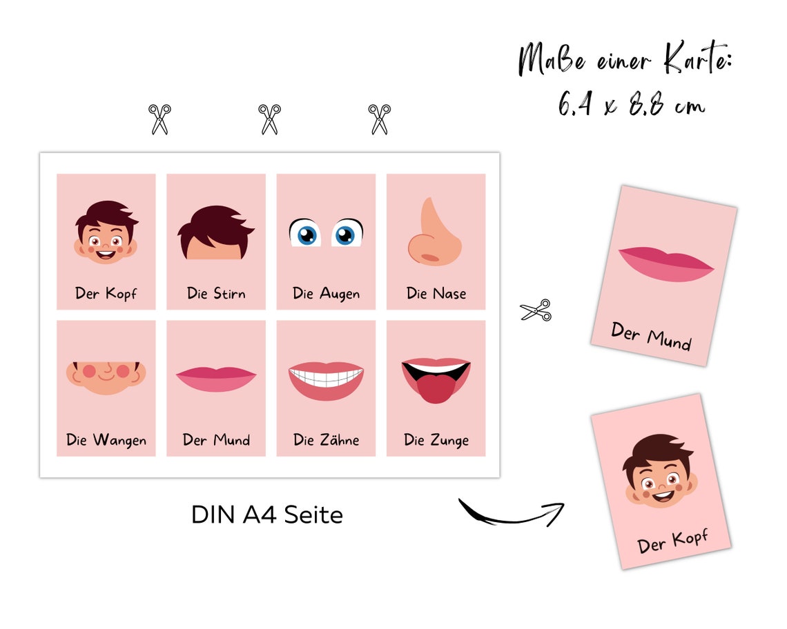 32 Lernkarten Körper, Bildkarten Kinder zum Ausdrucken, Kindergarten