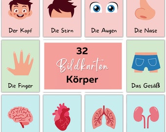 32 Lernkarten Körper, Bildkarten Kinder zum Ausdrucken, Kindergarten, Grundschule, Körperteile, Organe, Medizin, Wortschatz Karten, PDF