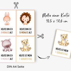 52 Meilensteinkarten für Babys und Kleinkinder zum Ausdrucken, Geschenk zur Schwangerschaft und Geburt, Erinnerungskarten erstes Lebensjahr Bild 6