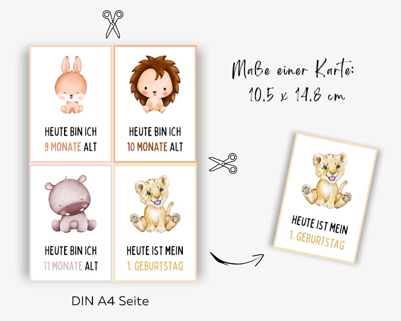 52 Meilensteinkarten für Babys und Kleinkinder zum Ausdrucken, Geschenk zur Schwangerschaft und Geburt, Erinnerungskarten erstes Lebensjahr Bild 6