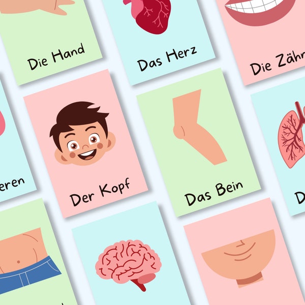 Lernkarten Körper für Kinder, Körperteile Bildkarten, Kita und Kindergarten, Montessori Körperkarten, Körper kennenlernen, Geschenk für Kind