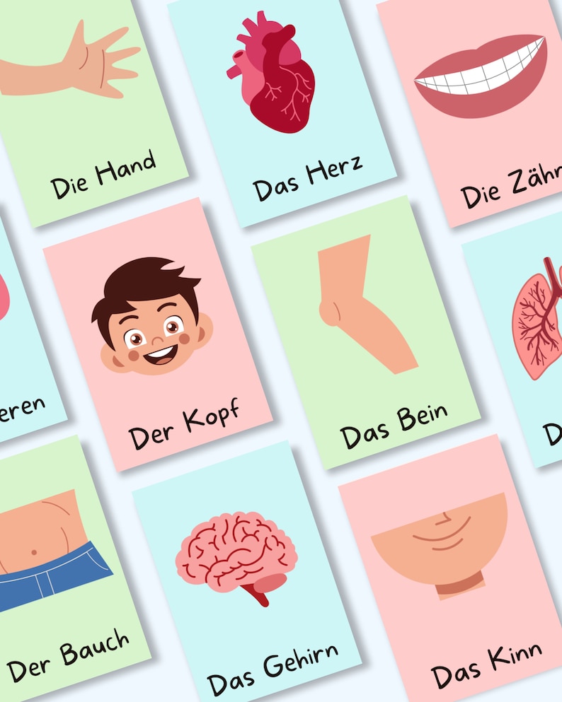 Körper Karten Kinder, 32 Bildkarten zum Ausdrucken, Mein Körper Kinder, Körperteile Lernkarten, Kindergarten PDF, Schule, Geschenkidee, Kita