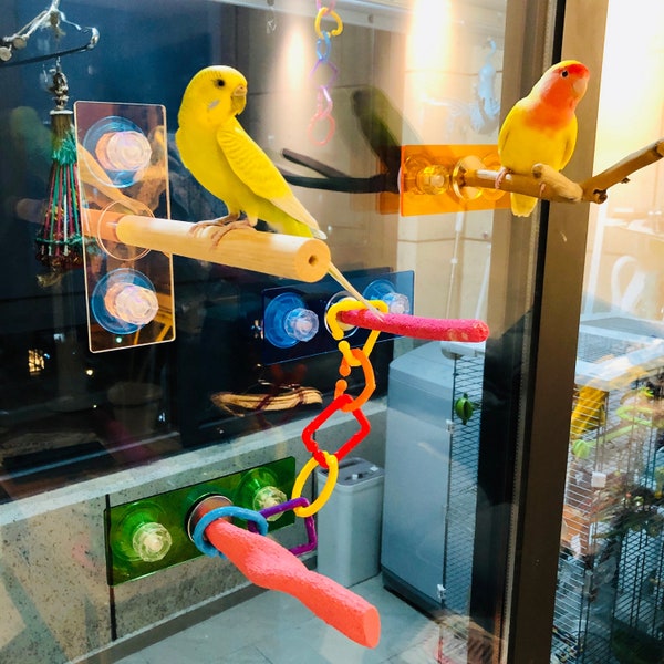 Parrot window play perch,Bird Window play stand, Parrot toys,Budgie supplies,Lovebirds toys