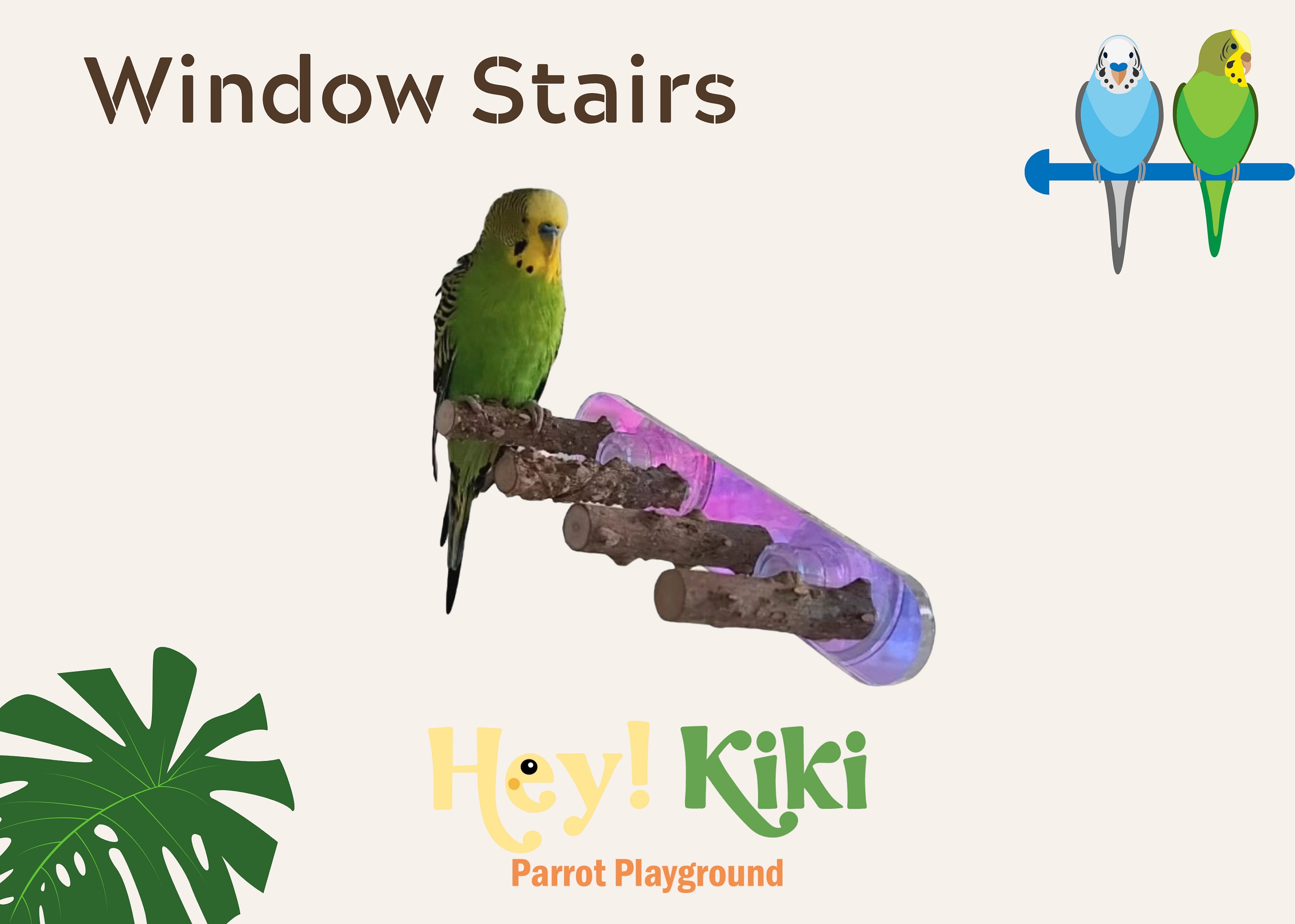 Budgie toys accessories sales