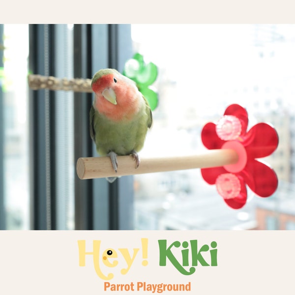 Parrot window play perch,Bird Window play stand, Parrot toys,Budgie supplies,Lovebirds toys