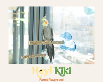 Parrot window play perch,Bird Window play stand, Parrot toys,Budgie supplies,Lovebirds toys