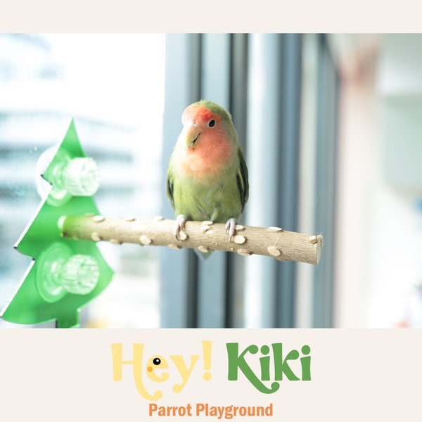 Parrot window play perch, Christmas Bird Window play stand, Parrot toys,Budgie supplies,Lovebirds toys