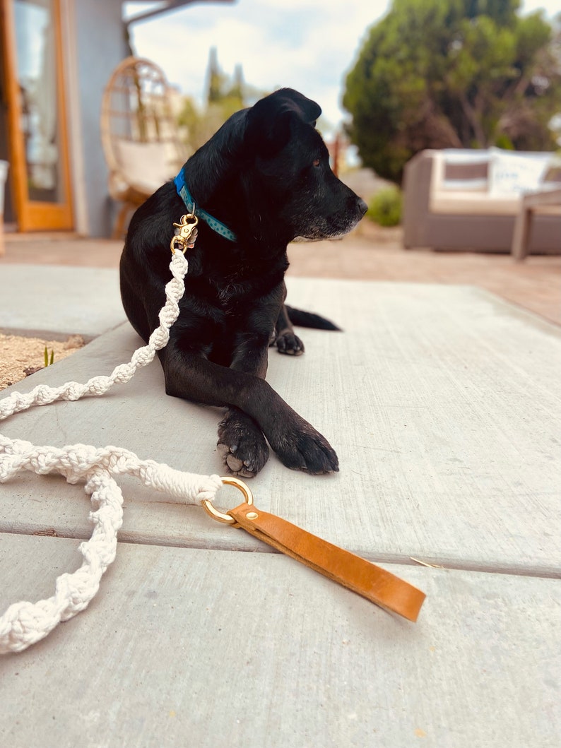 Macrame Dog Leash Sturdy Pet Tether Boho Gift for dog lover rope strap for dog image 1