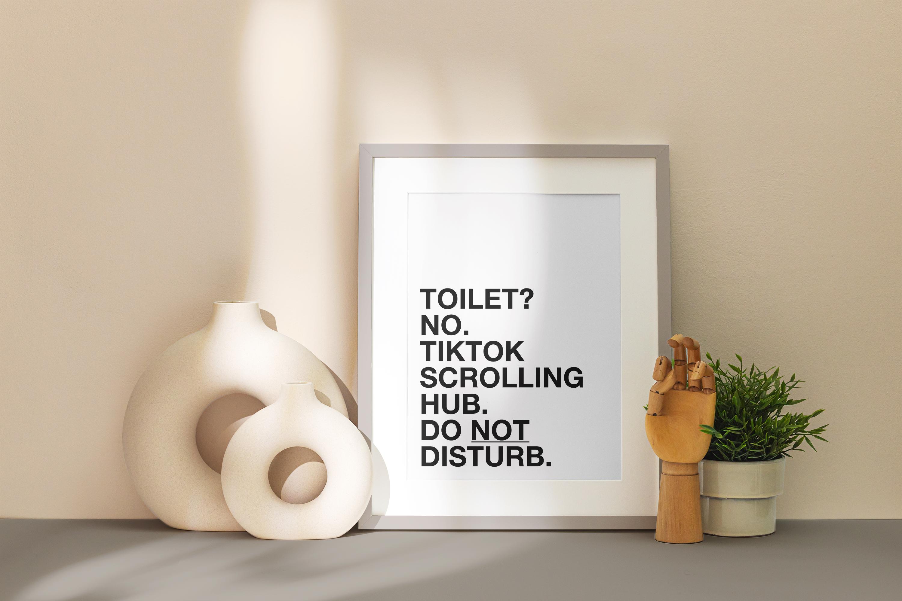 Toilettes à roulettes Tiktok