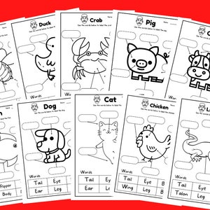 Printable English Animals Worksheets (for kindergartners to grade 6)
