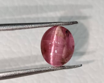Pink Tourmaline Cat's Eye Cabochon, 2 Carat Gemstone
