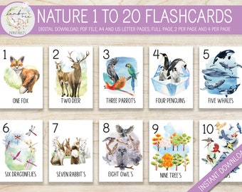 Nature Number Flashcards 1-20, Montessori Homeschool (Digital Download)