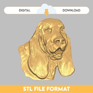 Op de afbeelding: Een goudkleurig 3D-model van de kop en schouders van een Basset Hound-hond. De afbeelding bevat de woorden "DIGITAAL DOWNLOADEN" boven de hond en "STL BESTANDSFORMAAT" eronder. De hond heeft lange, slappe oren en een gerimpeld gezicht.