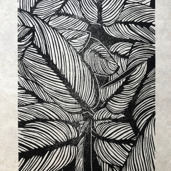 Calathea. Originaler Linolschnitt in Schwarz auf Lokta-Papier im A4-Format gedruckt. Wanddekoration mit Naturpflanzen und Blumen.