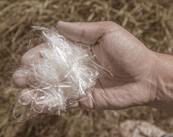 Pure Organic Milkweed Silk