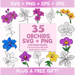 Orchids SVG Bundle, Orchid Clipart Set, Gift For Grandma, Gift Idea For Mom, Orchid Cut File, Mothers Day Gift, Orchid Cricut Design