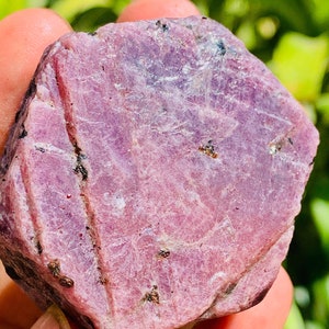 May include: A rough-cut, natural ruby gemstone. The ruby is a deep pinkish-red color with visible surface texture and small dark inclusions. The gemstone is held in a hand, with a blurred green background of foliage.