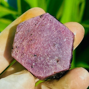 May include: A large, faceted, dark pink ruby gemstone with a hexagonal shape. The ruby has a rough, natural finish and is held in a hand.